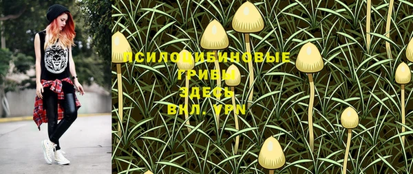 эйфоретик Беломорск
