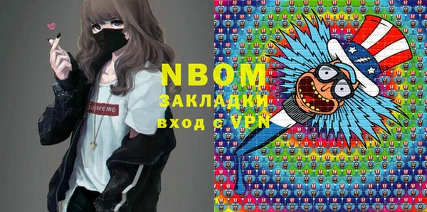 индика Осинники