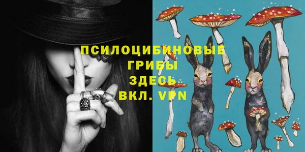 эйфоретик Беломорск